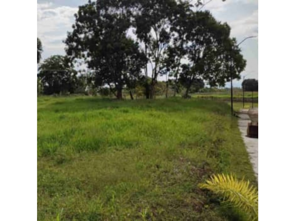 Se Vende Lote Totalmente Plano en Cerritos entrada El Tigre — foto 3