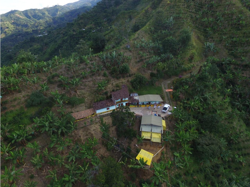 SE VENDE FINCA EN BELEN DE UMBRIA - 2