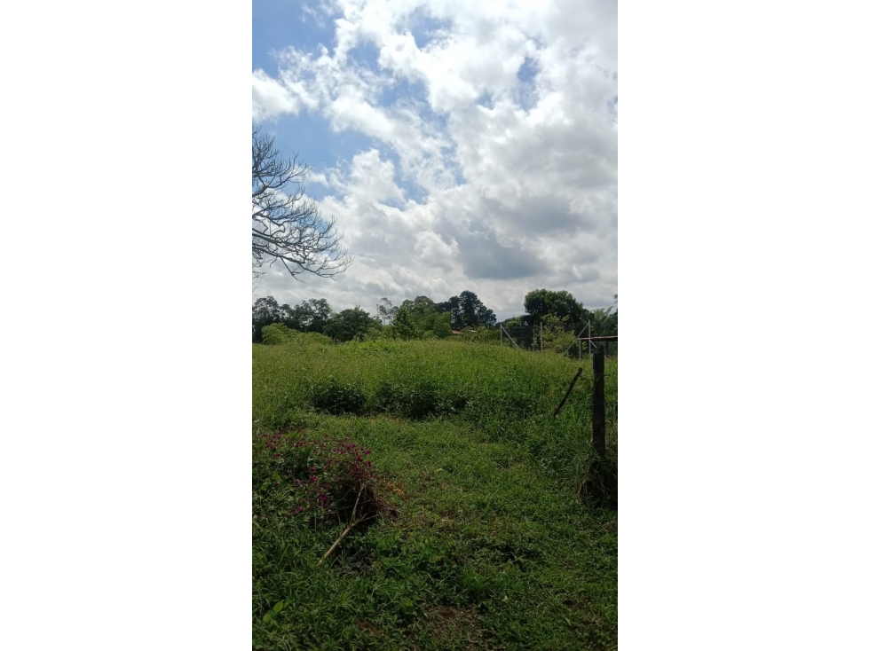 SE VENDE LOTE PALMILLA AREA DESDE 1500 M2 PARCELACION PUE ELECTRICA — foto 2