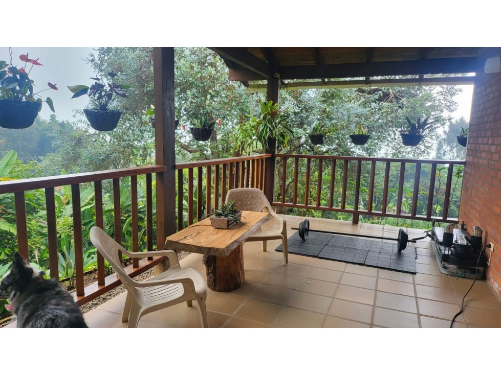 SE VENDE O PERMUTA LINDA CASA CAMPESTRE EN CALI DAPA AREA 2500 M2 — foto 3