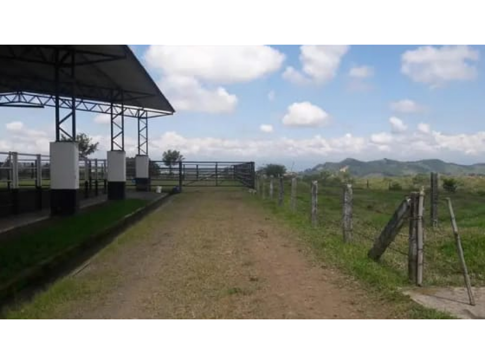 Venta de excelentes terrenos en el mejor lugar de Combia 214 cuadras — foto 2