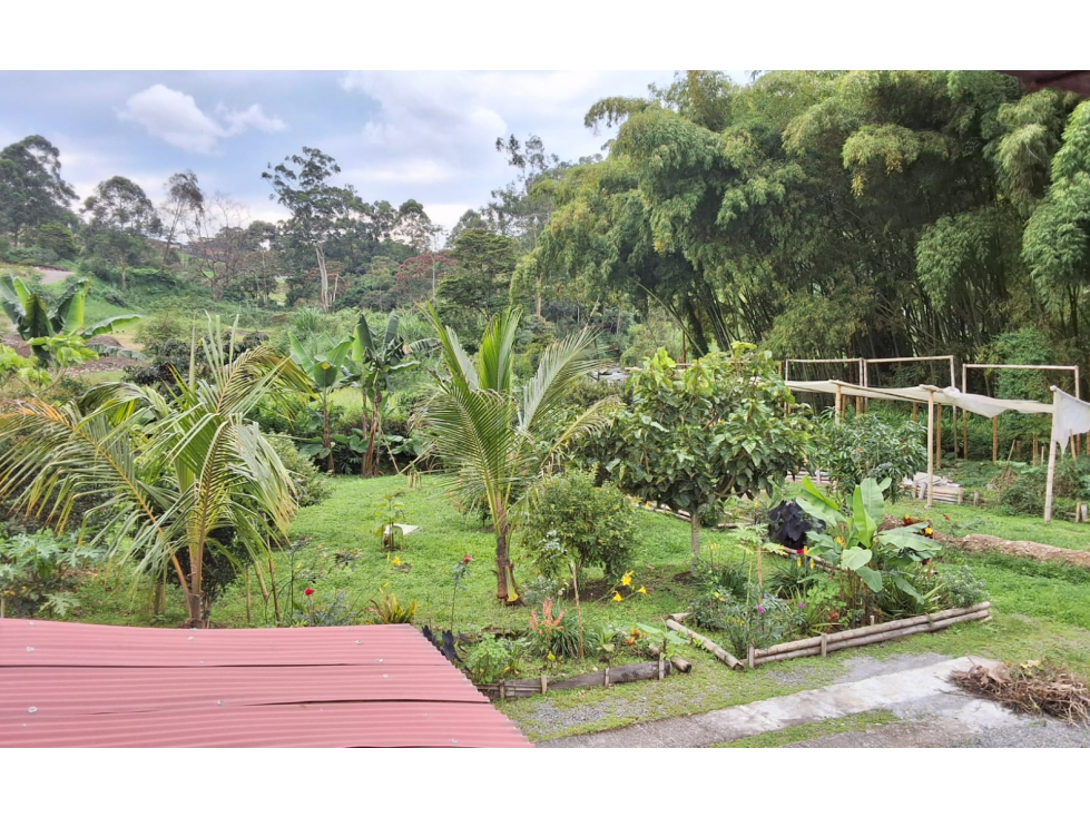 SE VENDE CASA CAMPESTRE EN SANTA ROSA AREA 4000 M2 — foto 2