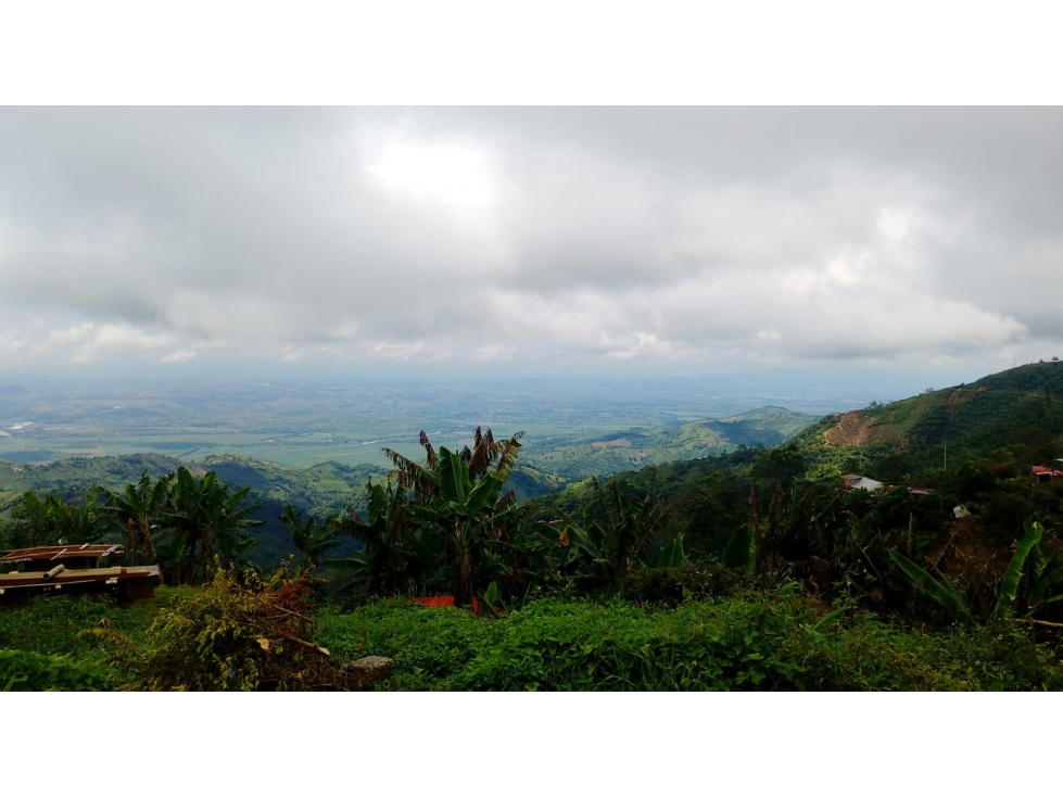 Venta de Finca Platanera y Cafetera en Balboa, Risaralda - 2
