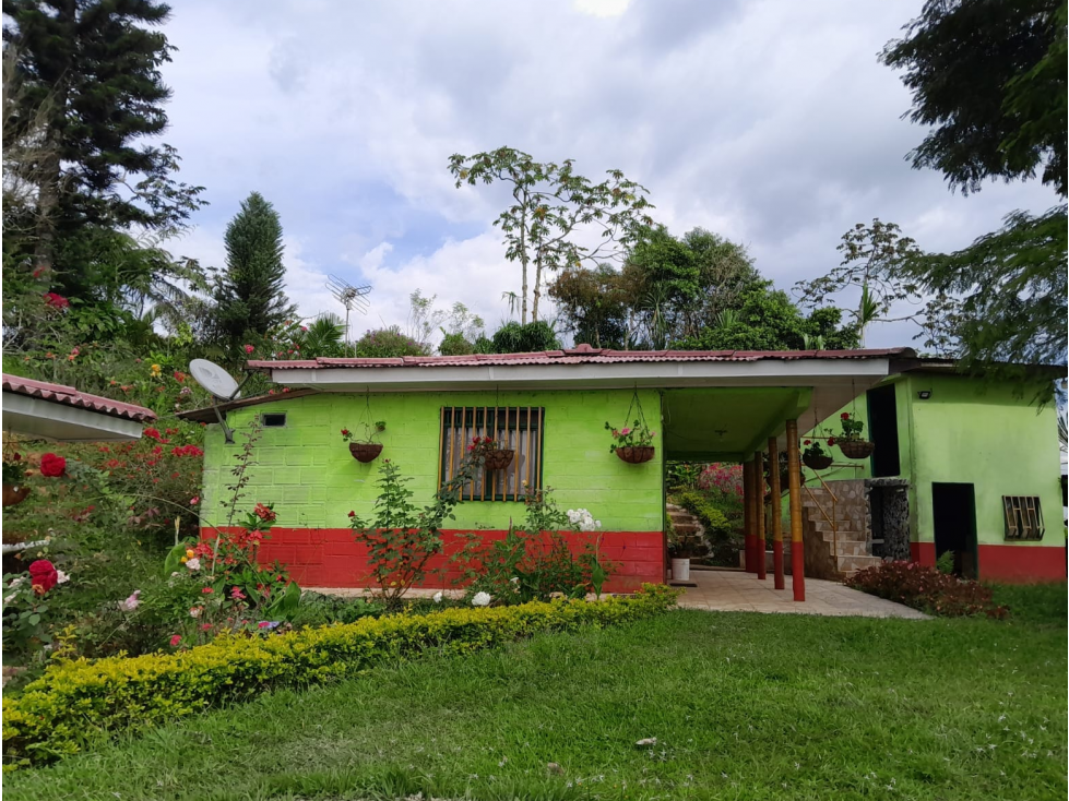 Vendo hermosa finca en Belarcazas Caldas - 2