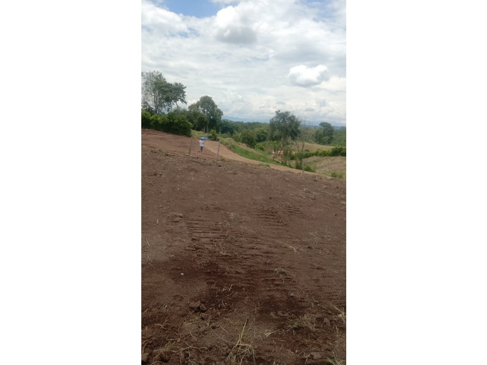 SE VENDE O PERMUTA LOTE EN PARCELACION EN LA PALMILLA — foto 2