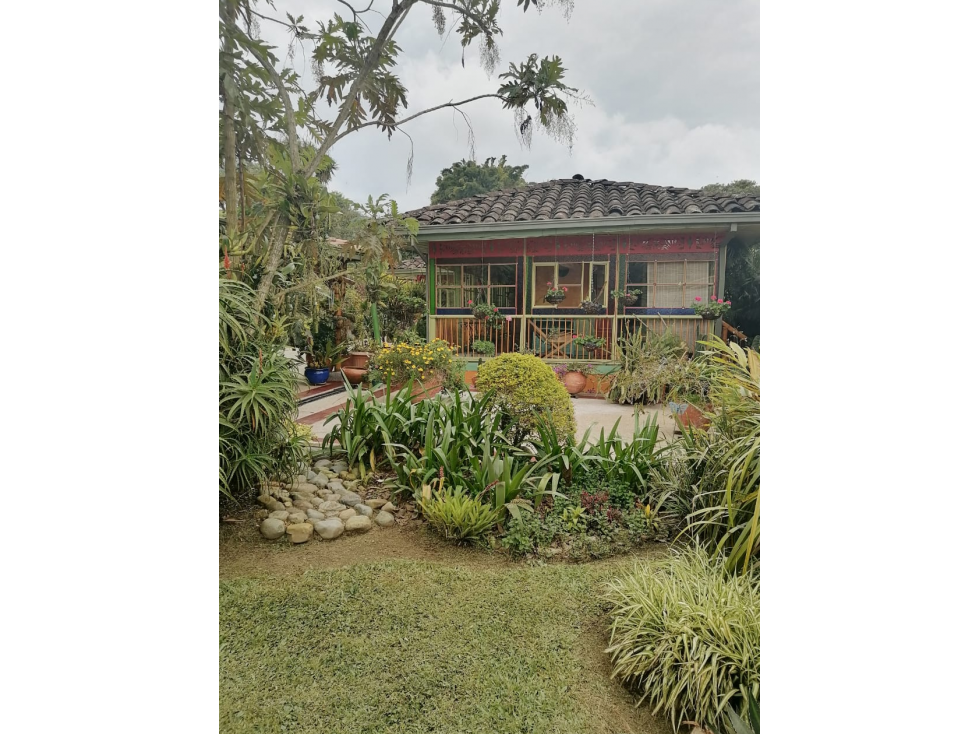Se vende finca de cafÃ© organico en la zona cafetera de Risaralda — foto 2
