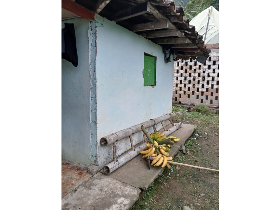 Se vende Finca Agrícola en Anserma Caldas a 20 Minutos del pueblo - 2