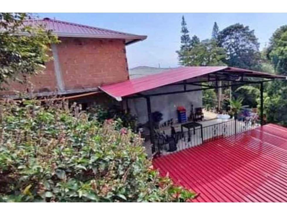 SE VENDE FINCA EN COMBIA PRODUCTORA DE CACAO, PLÁTANO, AGUACATE Y CAFÉ — foto 2