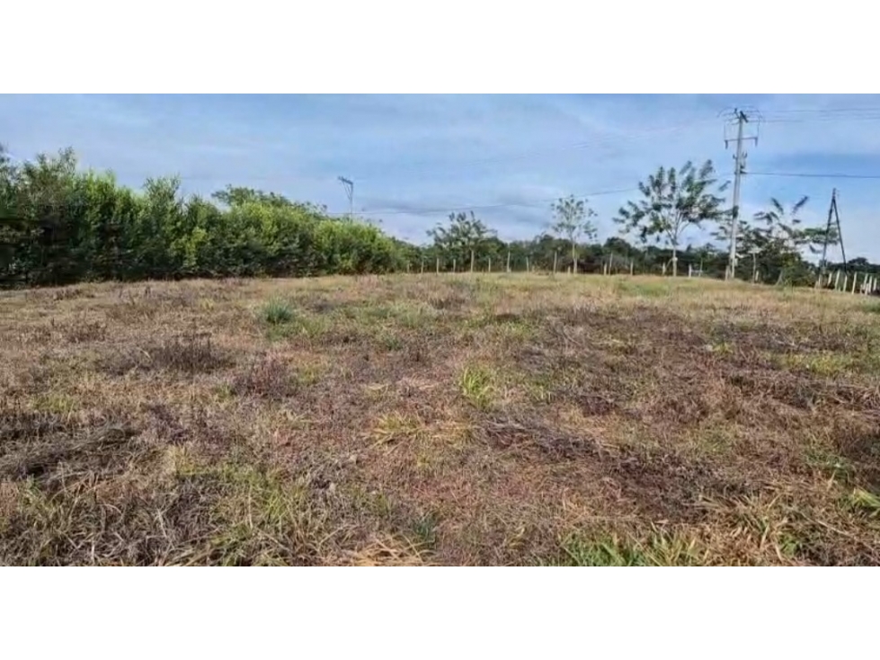 SE VENDE O PERMUTA LOTE EN PARCELACION CERCA DE ALCALA AREA 2500M2 — foto 2