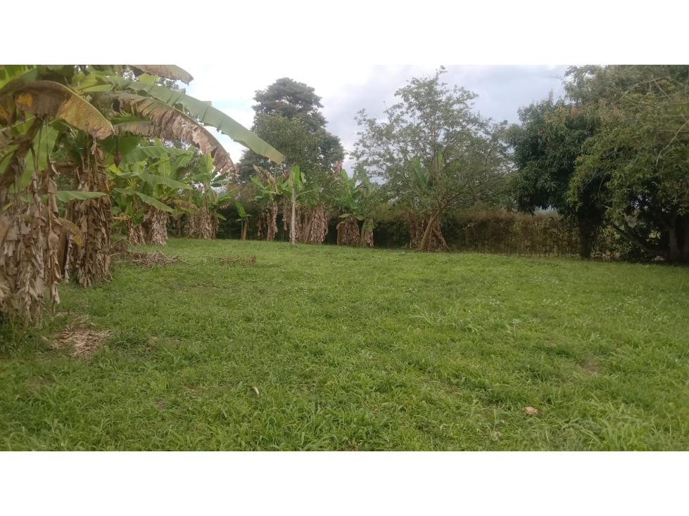 SE VENDE O PERMUTA LOTE AREA 3000 M2 POR CONDINA CERCA A VALLARTA — foto 2