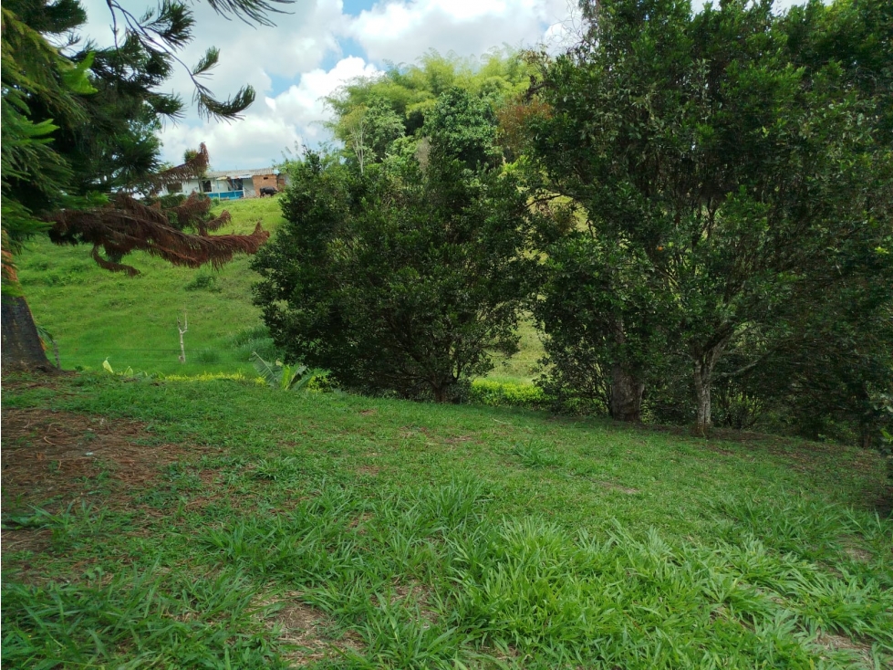 Se venden 2 lotes en Combia Pereira? de 1.330 m² y 1.780 m² — foto 2