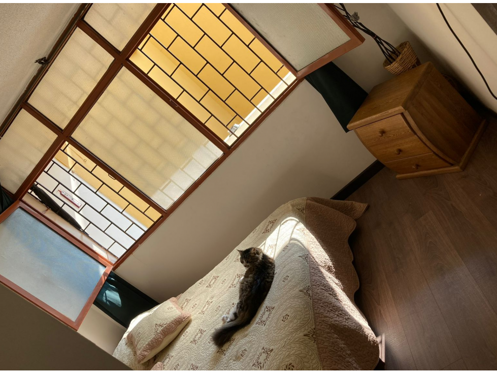 se vende propiedad en santa rosa de cabal - 2