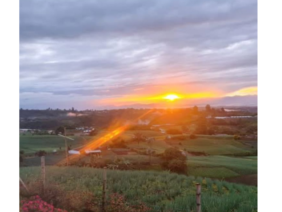 VENDE O PERMUTA CASA CAMPESTRE LA BELLA AREA 3500 M2 EXCELENTE VISTA — foto 3