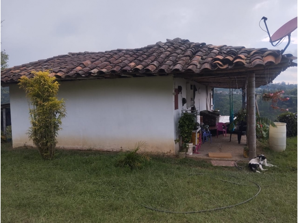 SE VENDE FINCA PARA INVERSIÓN POR MUNDO NUEVO ALTO — foto 2