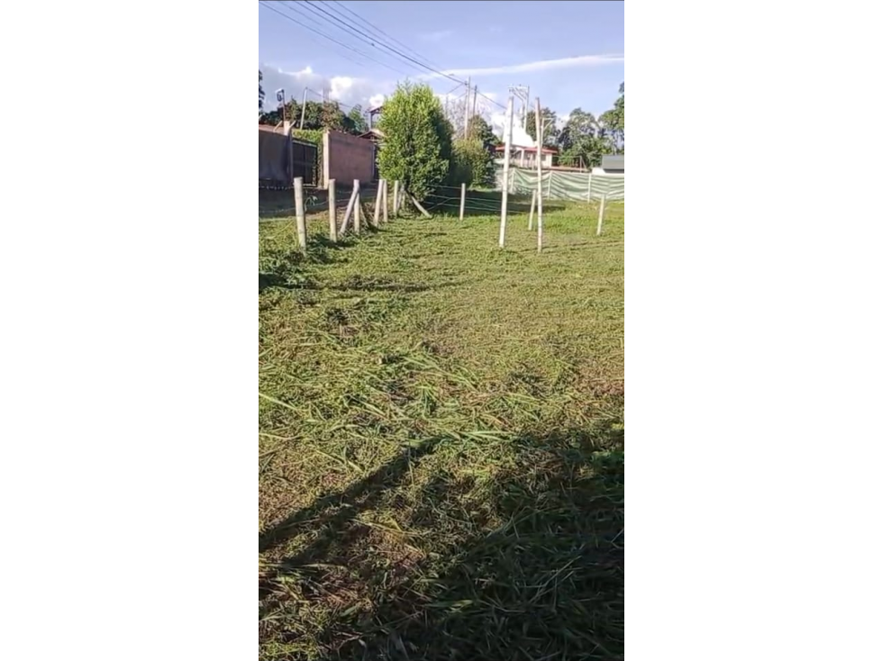 Se vende lote 1.500 m² en Portales de Alcalá — foto 3