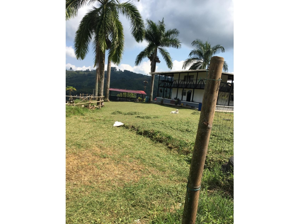 SE VENDE O SE PERMUTA FINCA VIA MARSELLA EXCELENTE UBICACIÓN - 2