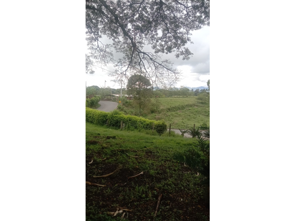SE VENDE LOTE CON CASA SOBRE VIA PRINCIPAL ENLA PALMILLA — foto 2