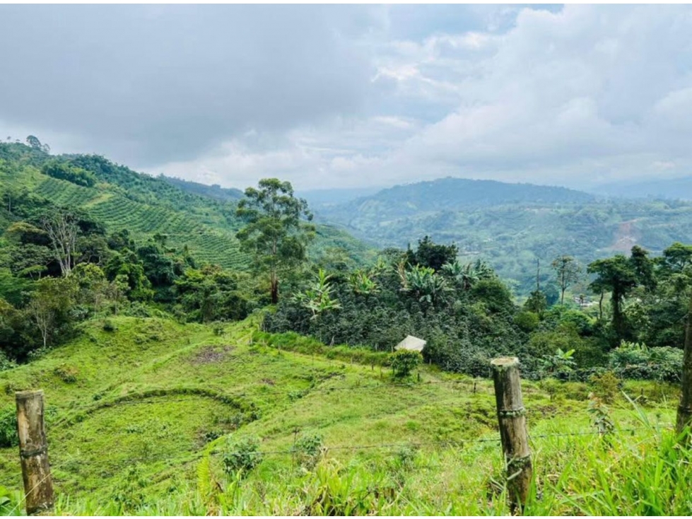 se vende finca con 2 casas campestres por santa rosa de cabal — foto 5
