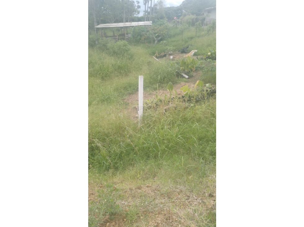 SE VENDE LOTE EN CERRITOS EN LAS CARMELITAS — foto 2