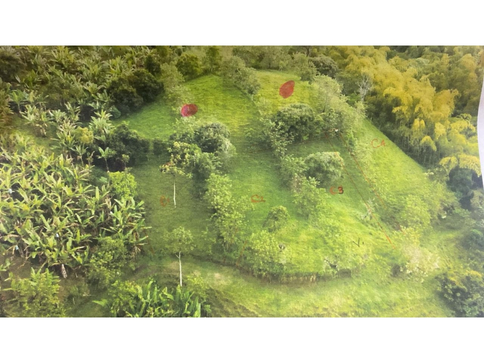 Se venden lotes desde 1.000 m² vía Arabia Betulia — foto 2