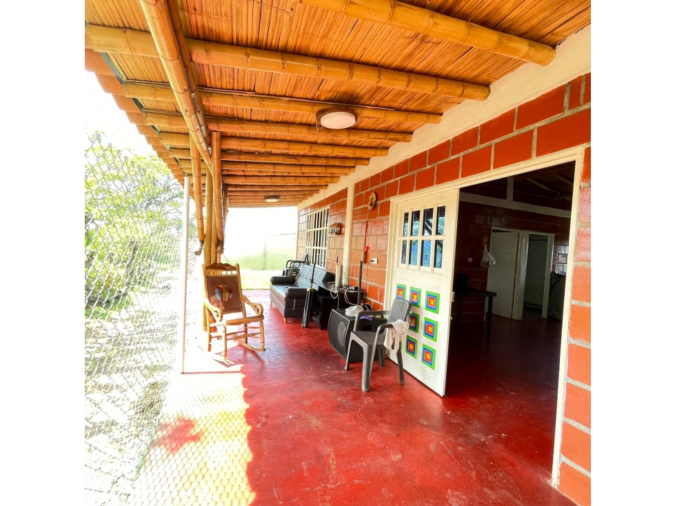 Se vende finca en Belalcázar 500m² solo efectivo - 2