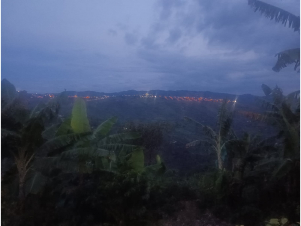 SE VENDE CASA CAMPESTRE EL VERGEL ALTO ANSERMA CALDAS - 2