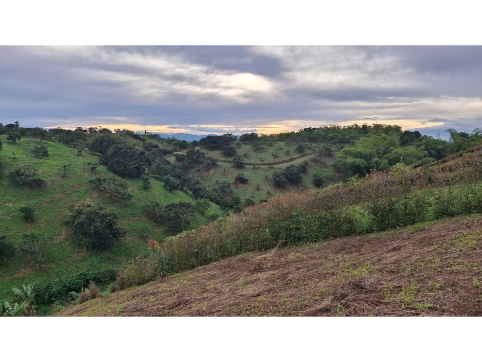 Se vende lote campestre en Morelia en condominio — foto 2