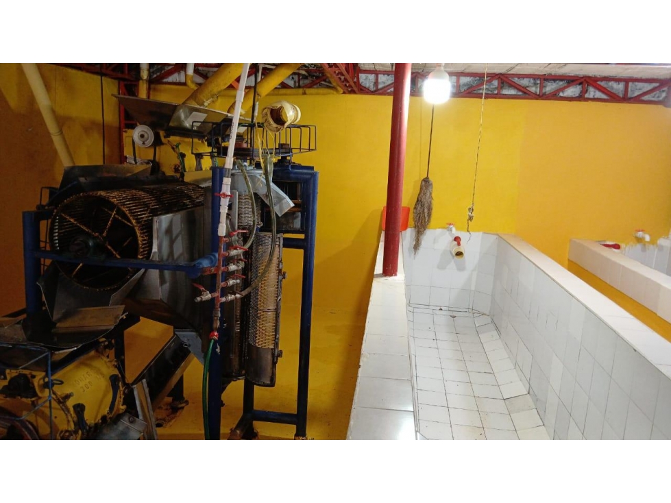 Se vende finca cafetera productiva en Combia — foto 6