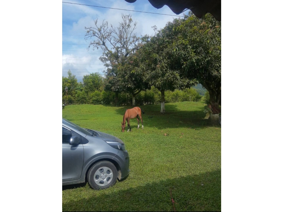 SE VENDE HERMOSA FINCA EN SANTA ROSA — foto 2