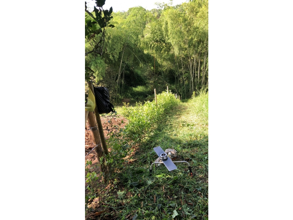 Se vende lote campestre en Parcelación Via Alcala — foto 2
