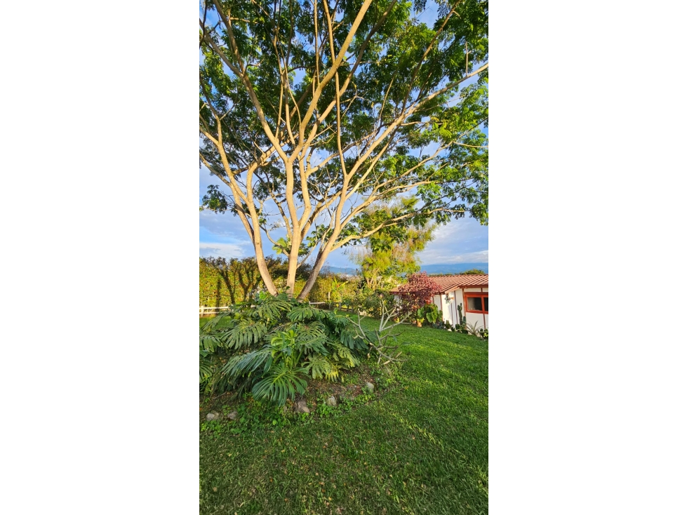 Se vende hermosa casa campestre en Santa Rosa de Cabal — foto 5
