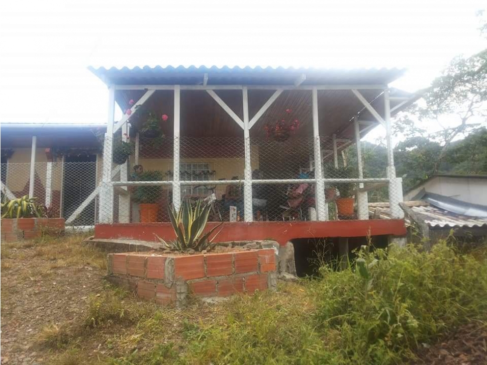 Se Vende Finca Cerca Al Crucero De Combia En Pereira — foto 2