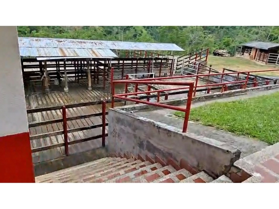 se vende finca en la celia risaralda - 2