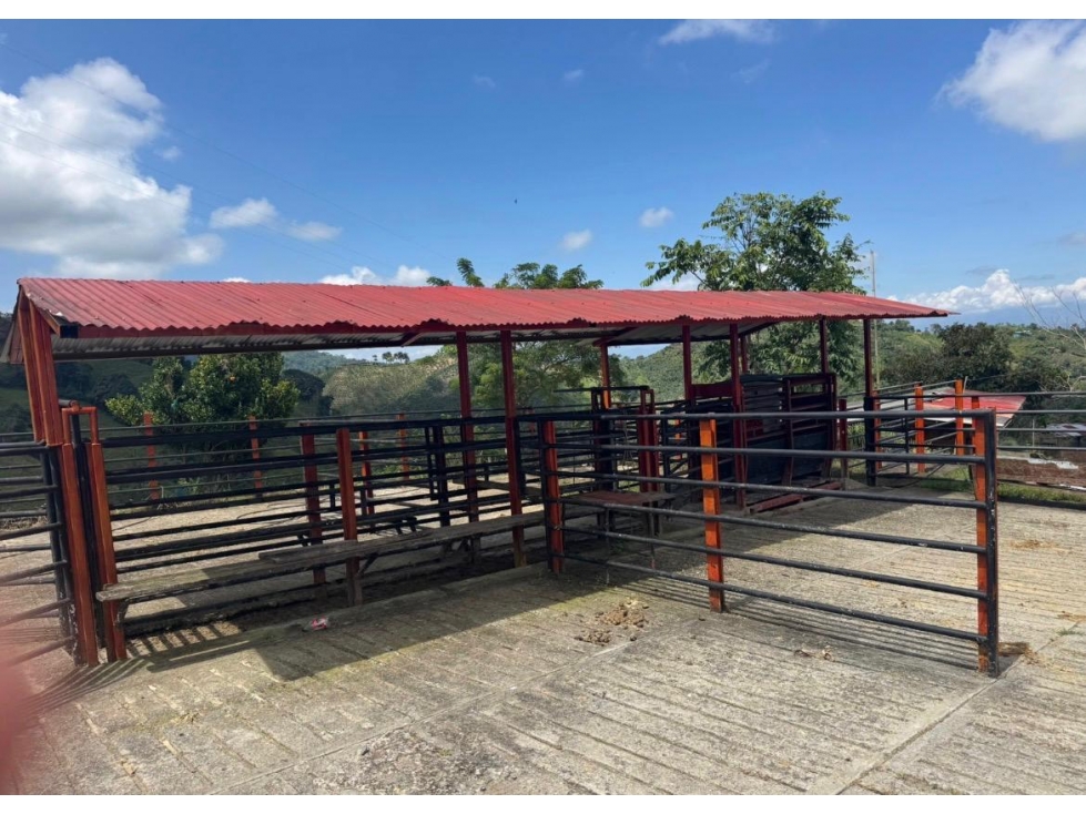 Venpermuta menor valo hermosa finca en combia 52 cuadras en pasto