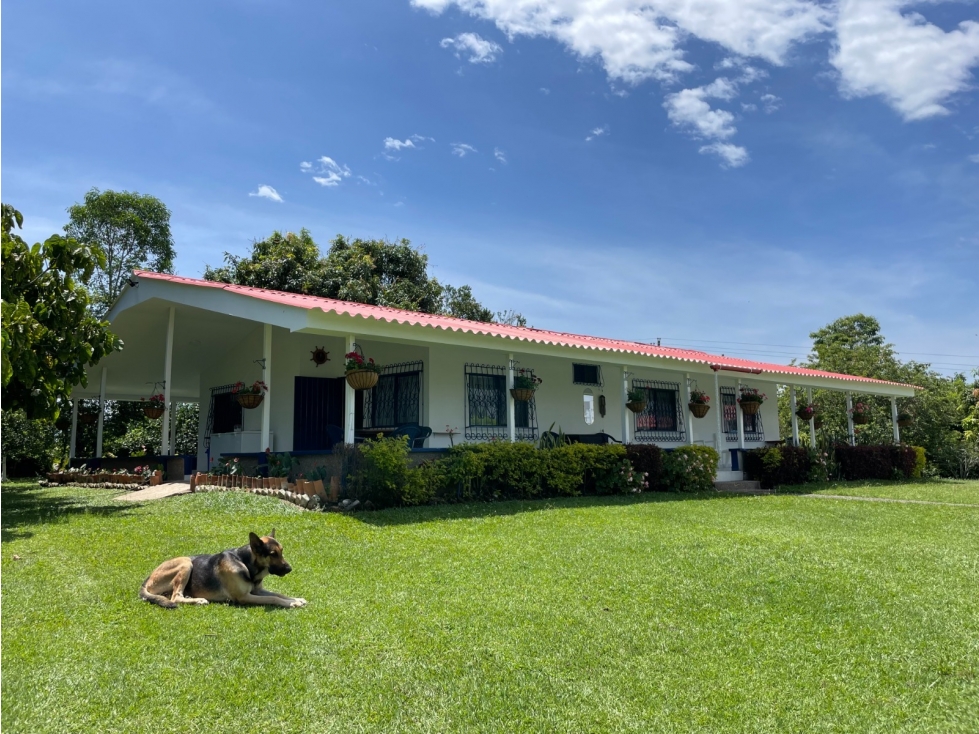 SE VENDE CASA CAMPESTRE EN NUEVO SOL AREA 6000 M2 VISTA QUE ENAMORA — foto 3