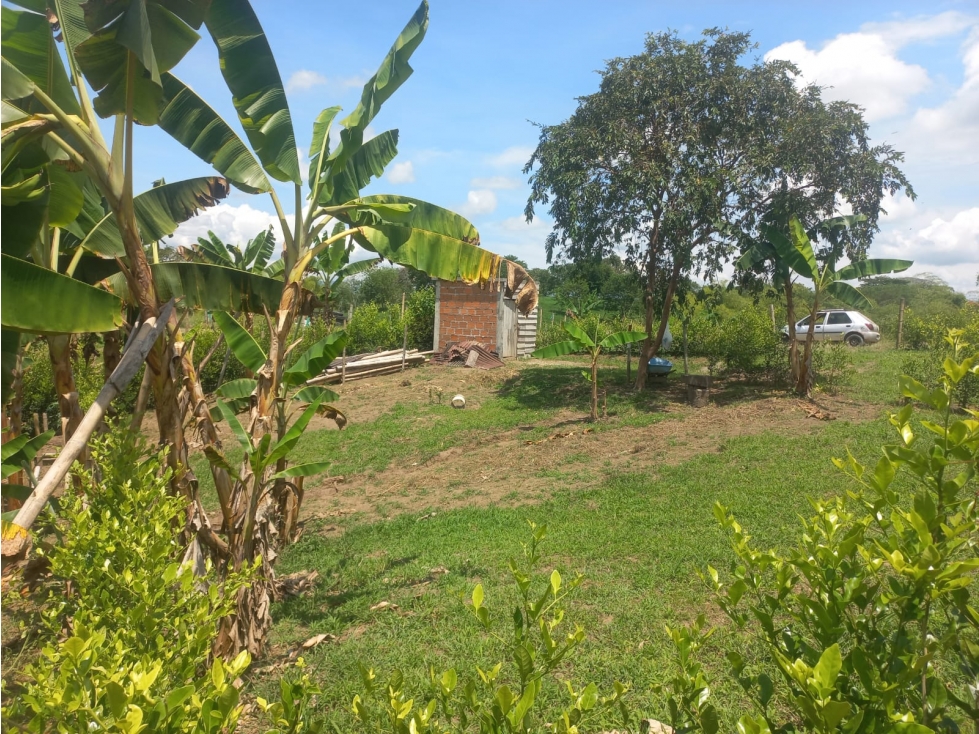 SE VENDE LOTE EN BETULIA EN PARCEALCION AREA 1237 - 2