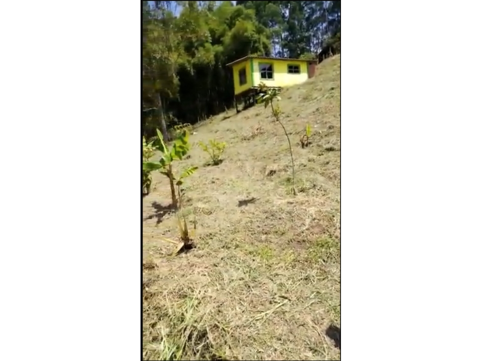 SE VENDE LOTE EN YARUMAL- ARABIA — foto 3