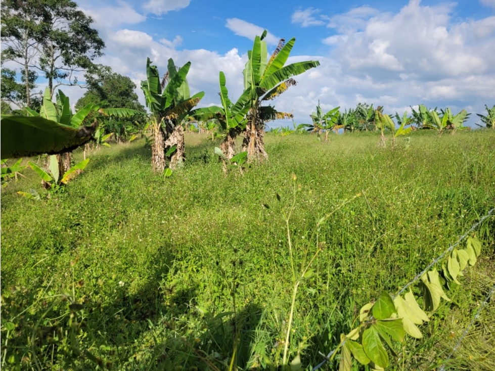 SE VENDE LOTE EN QUIMBAYA - 2