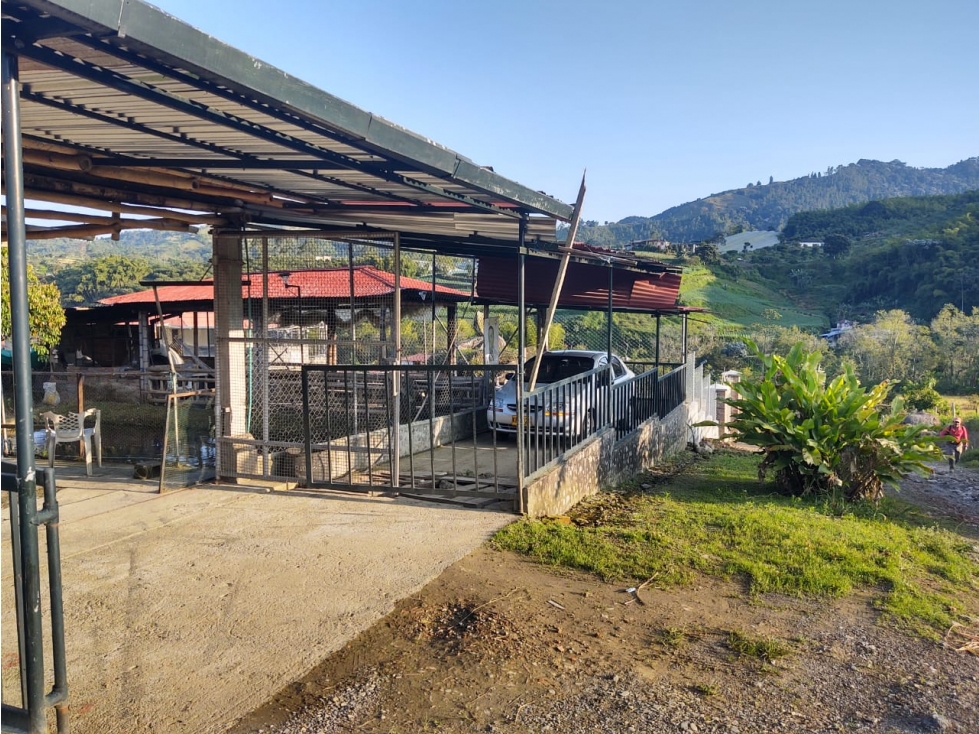 se vende Finca en el Corregimiento de la Florida — foto 2