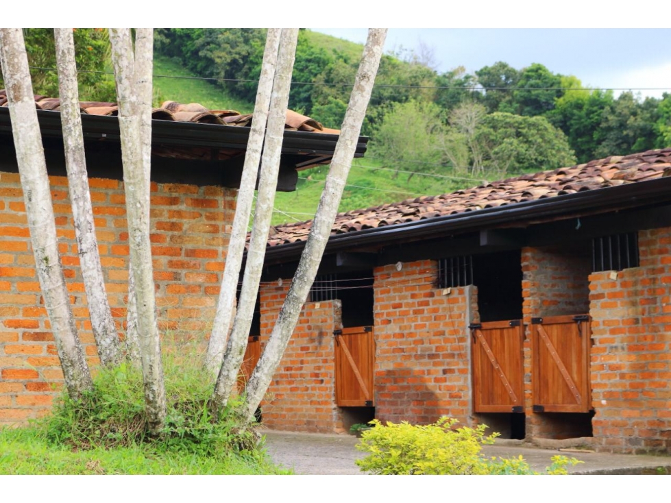 Se vende Hermosa Finca en Combia — foto 5