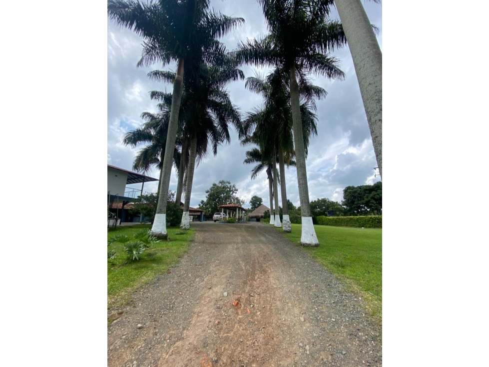 Se vende Finca en la vía Alcala - Morelia — foto 5