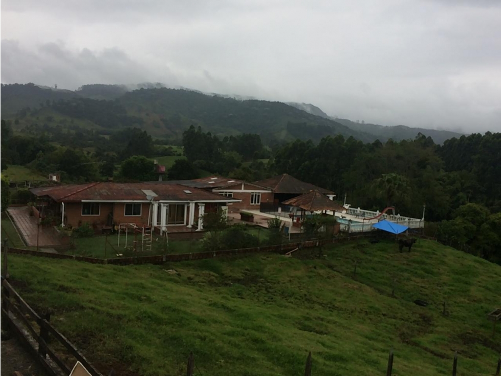 SE VENDE FINCA EN SANATA ROSA VIA TERMALES DE SAN VICENTE — foto 2