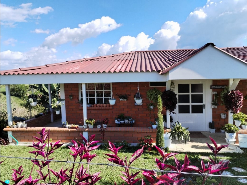 SE VENDE O SE PERMUTA CASA CAMPESTRE EN LA PALMILLA CERCA MORELIA — foto 5