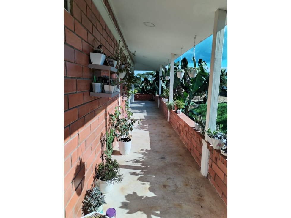 SE VENDE O SE PERMUTA CASA CAMPESTRE EN LA PALMILLA CERCA MORELIA — foto 6