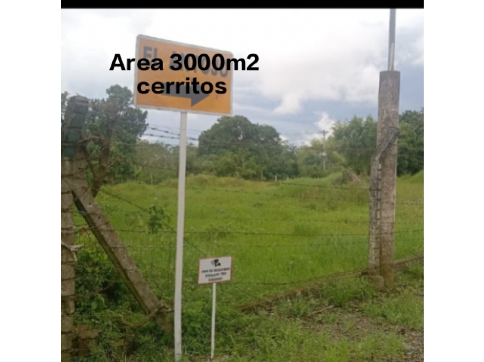 SE VENDE LOTE EN CERRITOS USO COMERCIAL Y RESIDENCIAL — foto 4