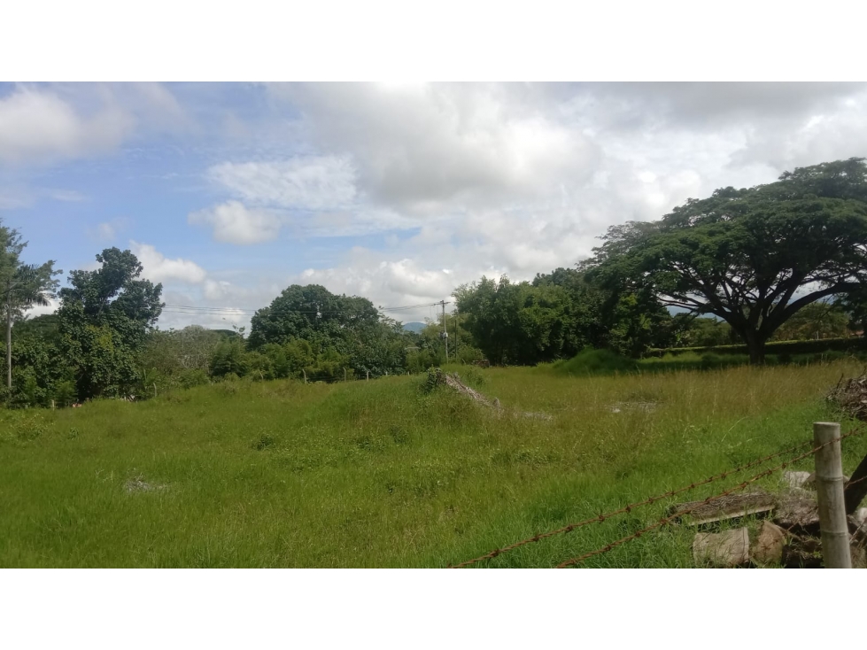 SE VENDE LOTE EN CERRITOS USO COMERCIAL Y RESIDENCIAL — foto 3