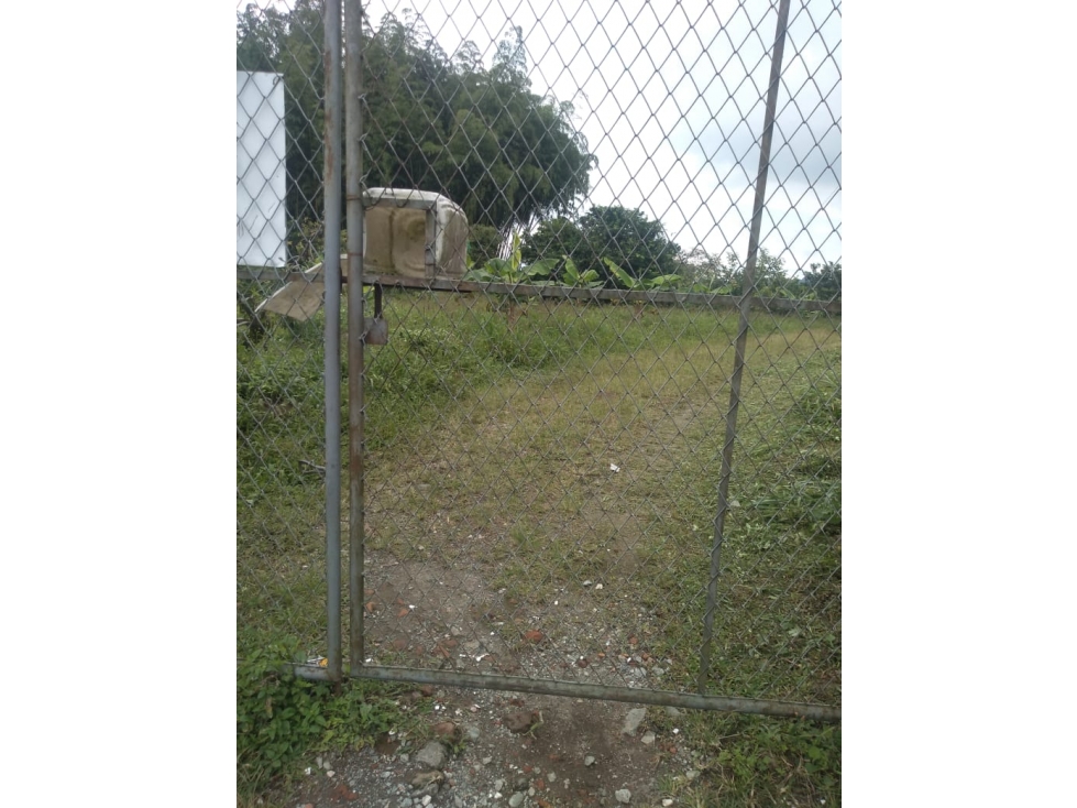 SE VENDE GRAN FINCA EXPORTADORA DE 44 CUADRAS SANTA ROSA — foto 4