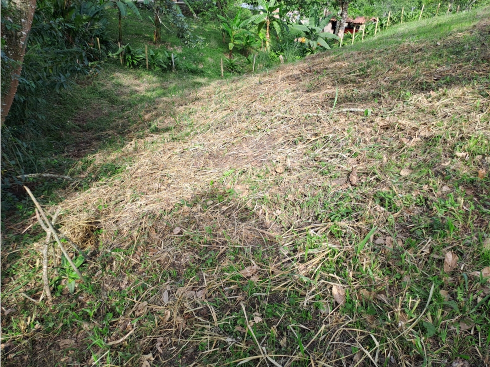 Se vende lote entre belalcazar y viterbo - 3