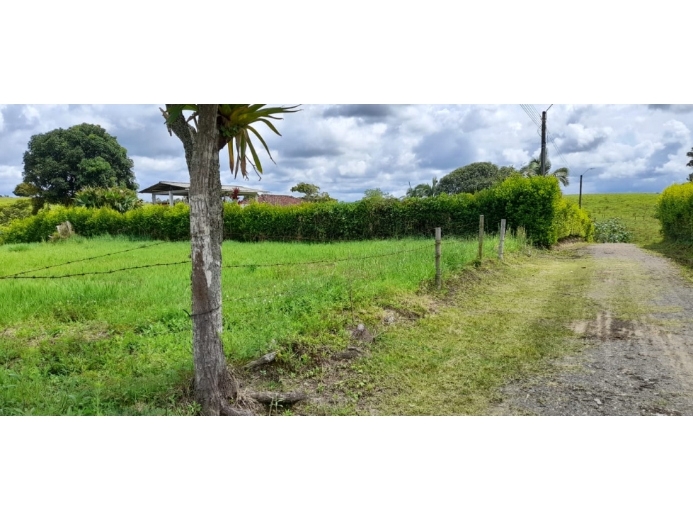 Se Vende Hermoso Lote Excelente Precio La Estrella Vía Alcalá — foto 3