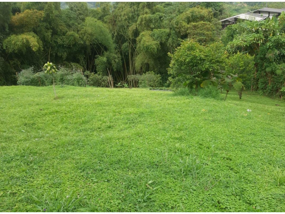 SE VENDE LOTE CON ESCRITURA EN LA FLORIDA